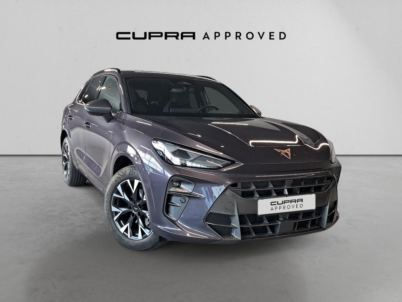 CUPRA Terramar 1.5 TSI e-Hybrid DSG 150 kW (204 CV) — photo 1