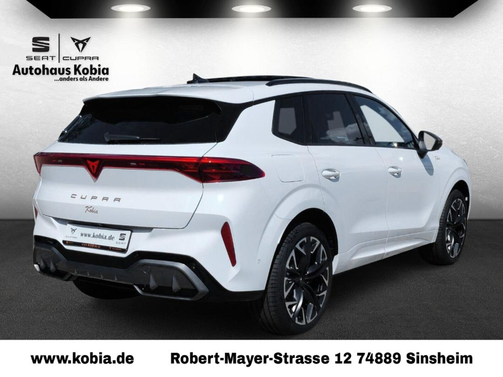 CUPRA Terramar – Bild 4