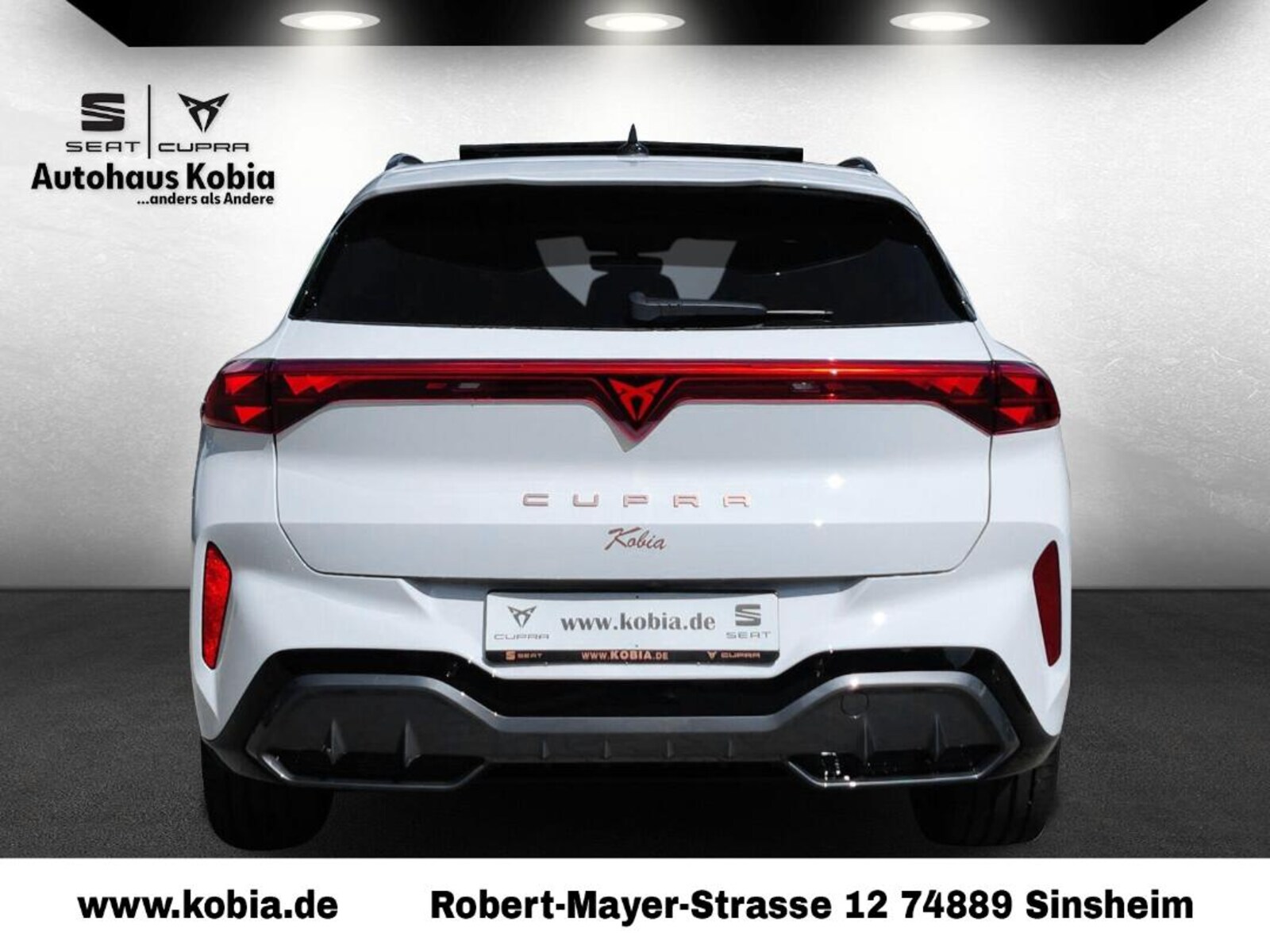 CUPRA Terramar – Bild 3