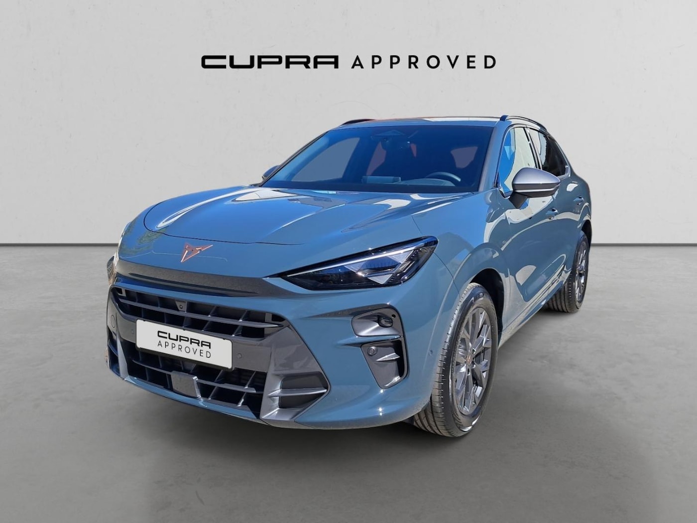 CUPRA Terramar 1.5 eTSI Beyond DSG 110 kW (150 CV) — photo 13