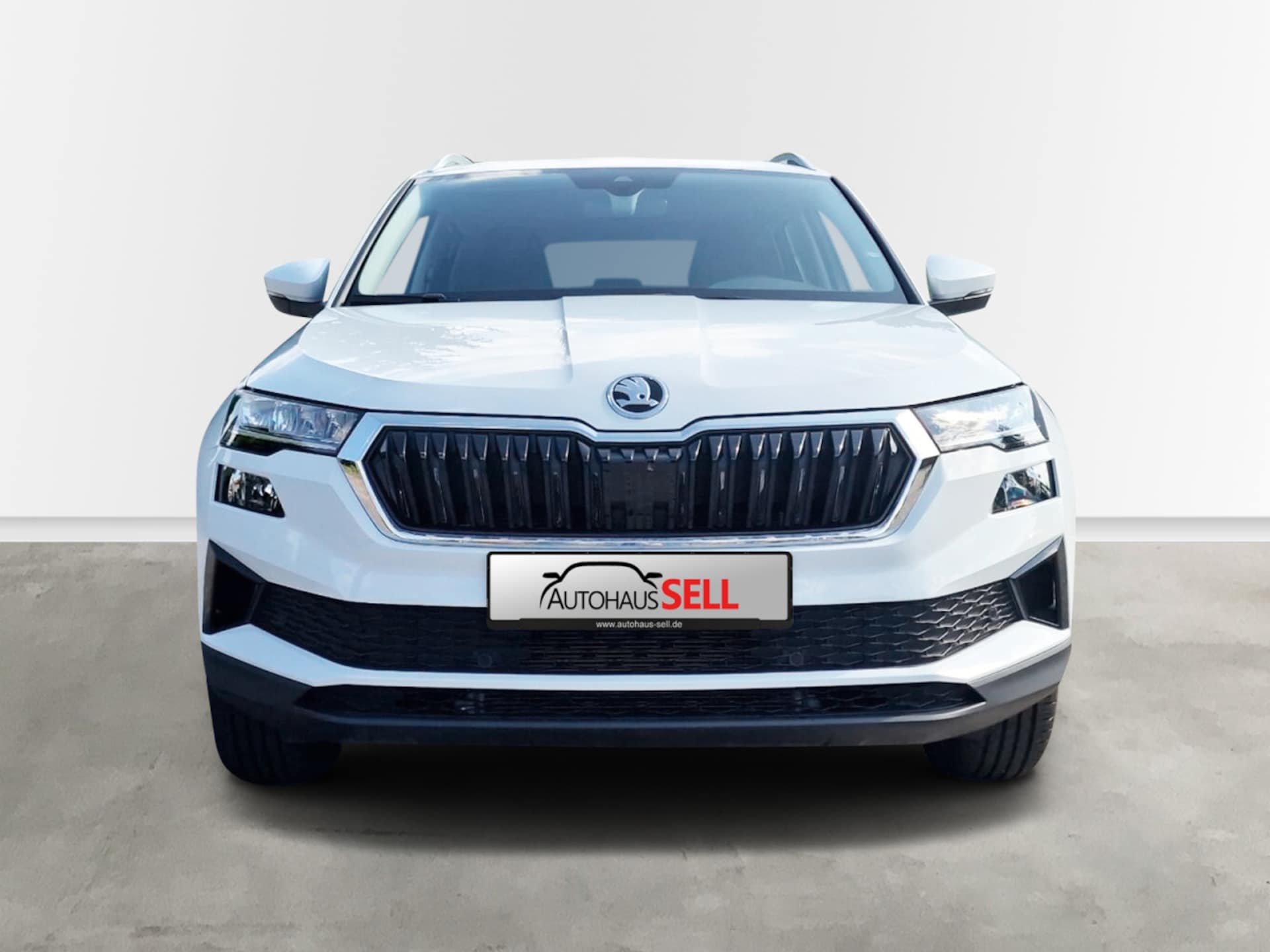 Skoda Karoq Ambition