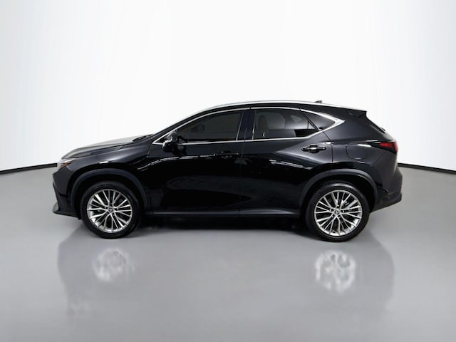 2024 Lexus NX 350
