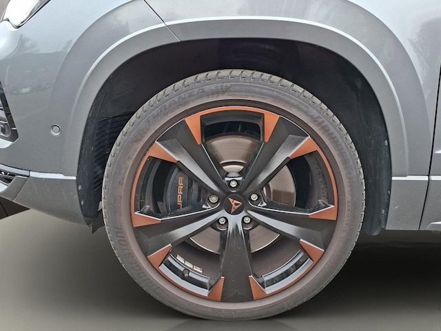 Bild des Autos 20