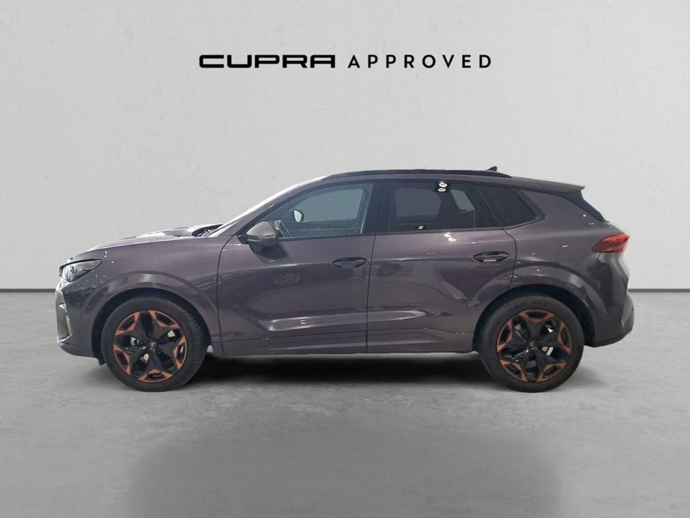 CUPRA Terramar 1.5 eTSI DSG 110 kW (150 CV) — photo 15