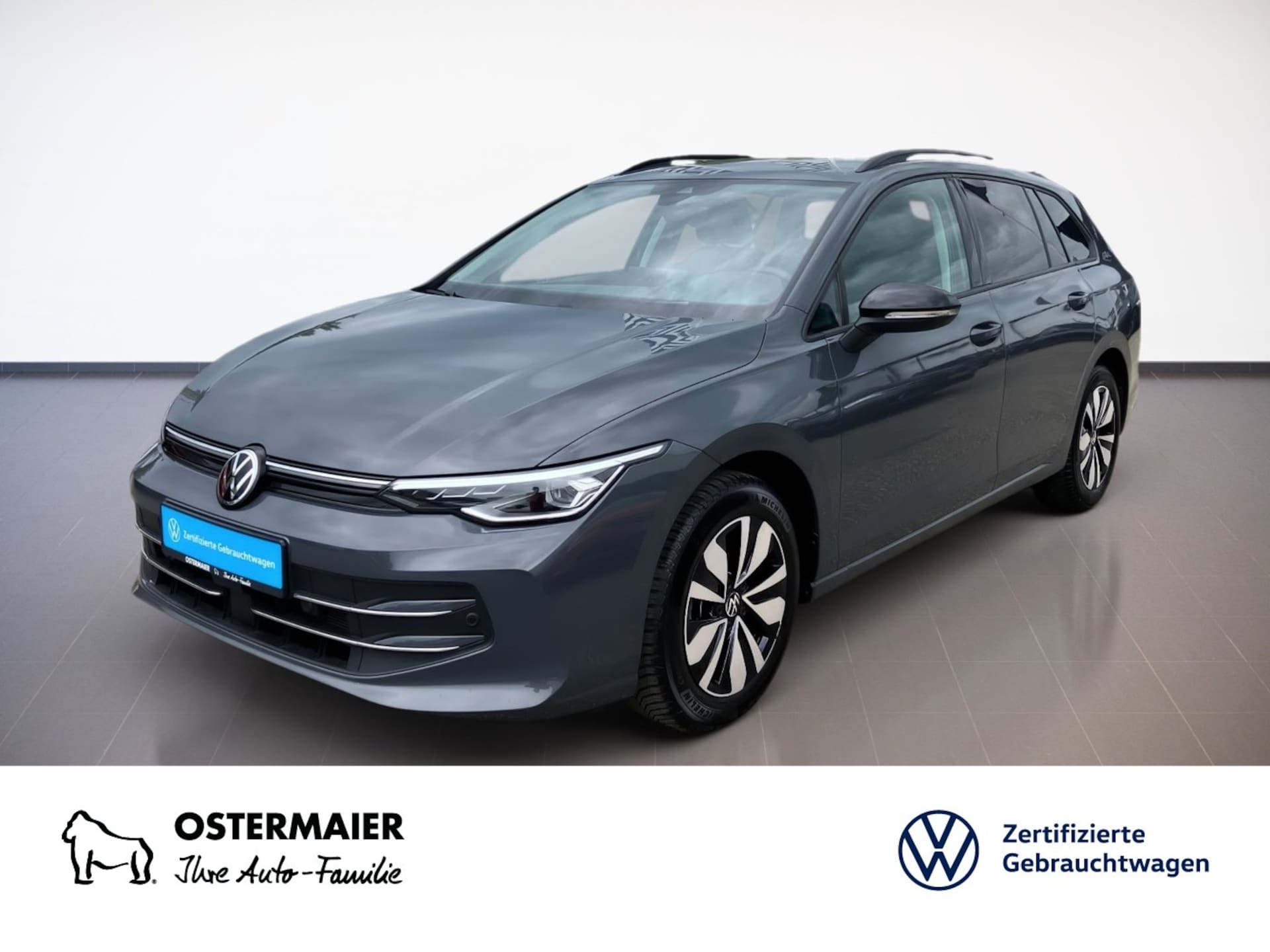 Volkswagen Golf Variant Goal