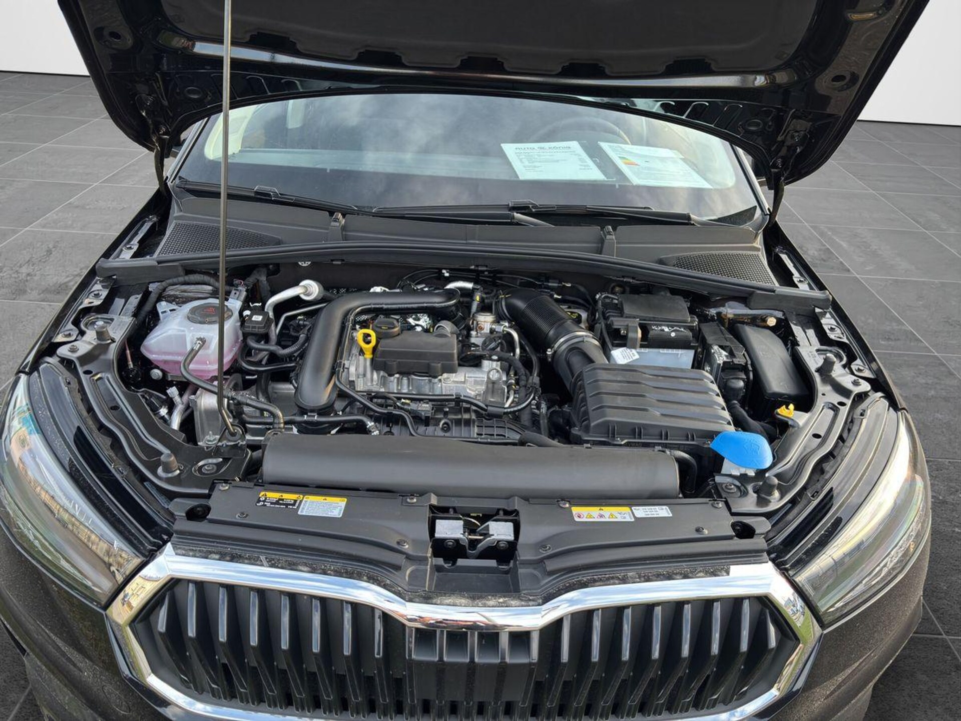 Skoda Fabia Selection