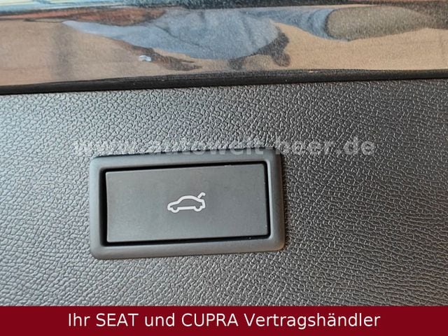 Bild des Autos 14