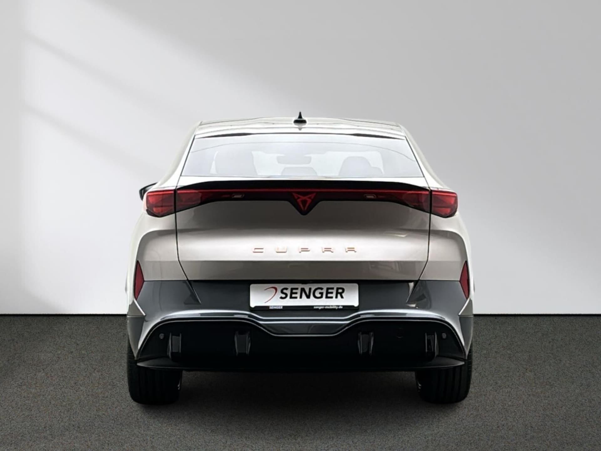 CUPRA Tavascan Endurance