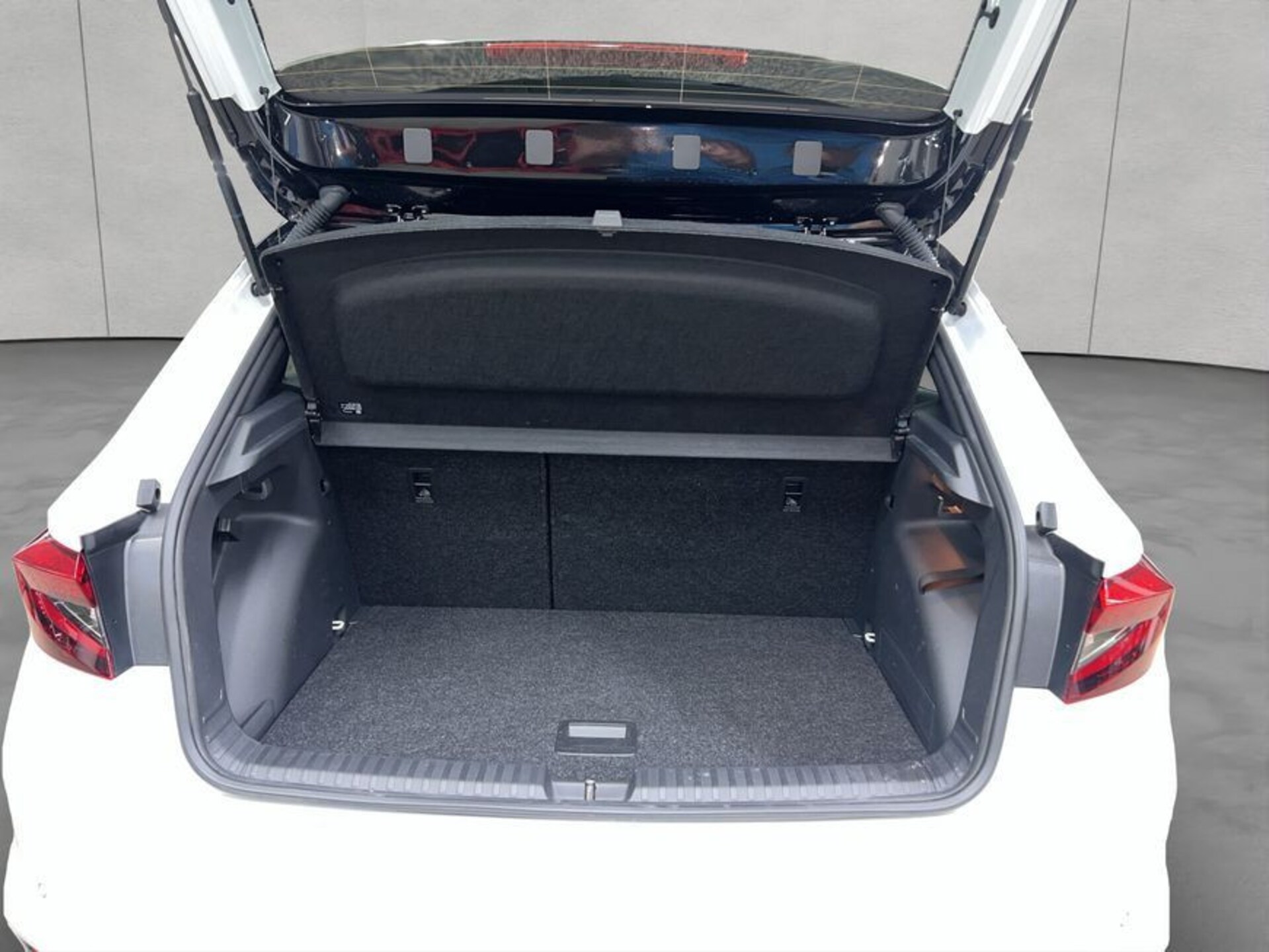 Skoda Fabia Monte Carlo