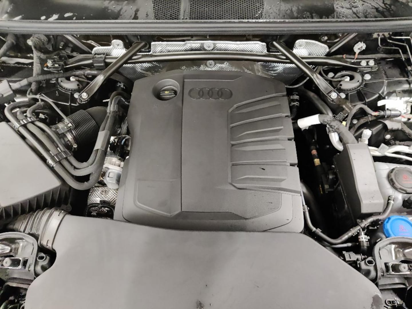 Bild über Audi Q5 Sportback TDI quattro 150 kW S tronic - für weitere Informationen kontaktieren Sie den Audi Partner