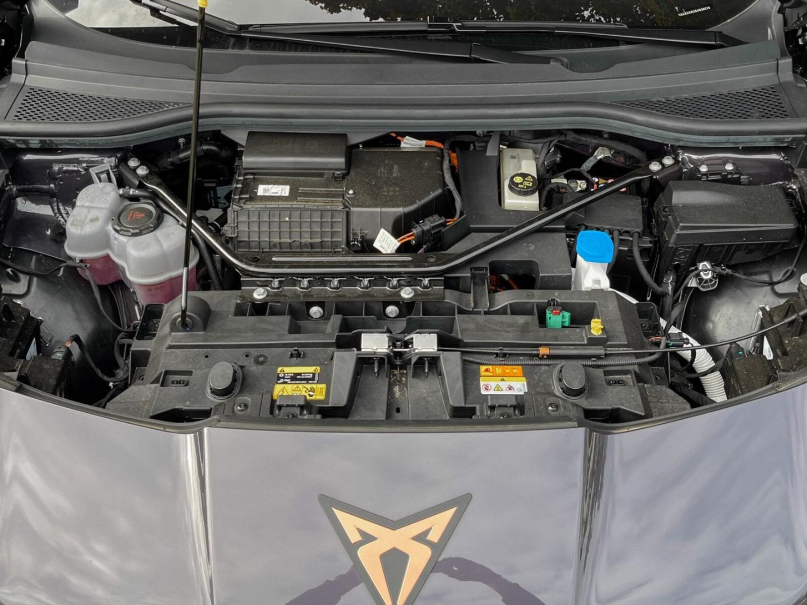 CUPRA Tavascan – Bild 13
