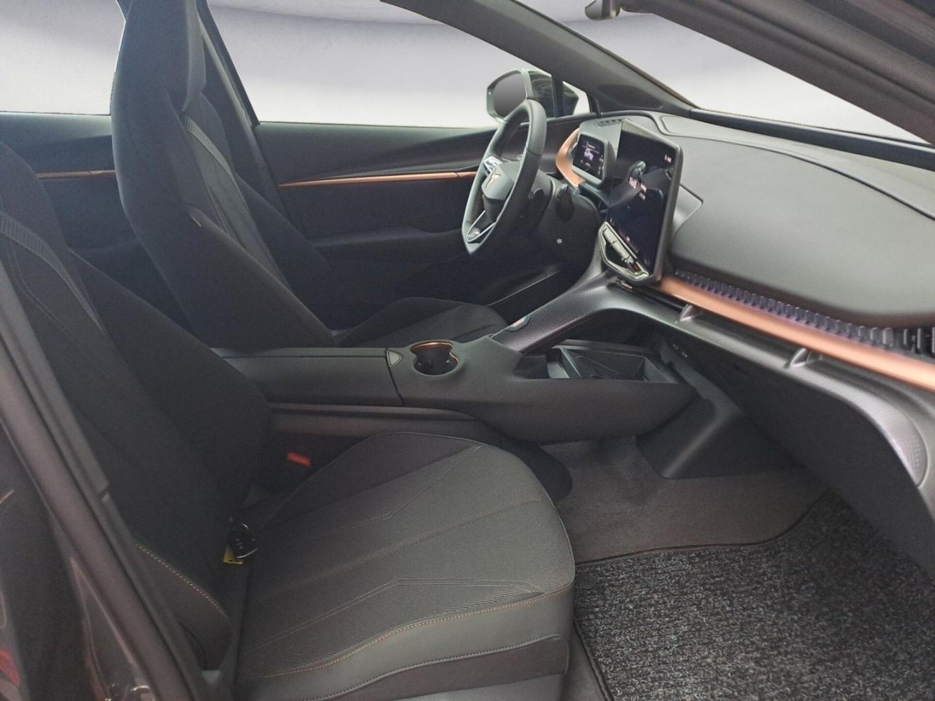 CUPRA Tavascan Endurance