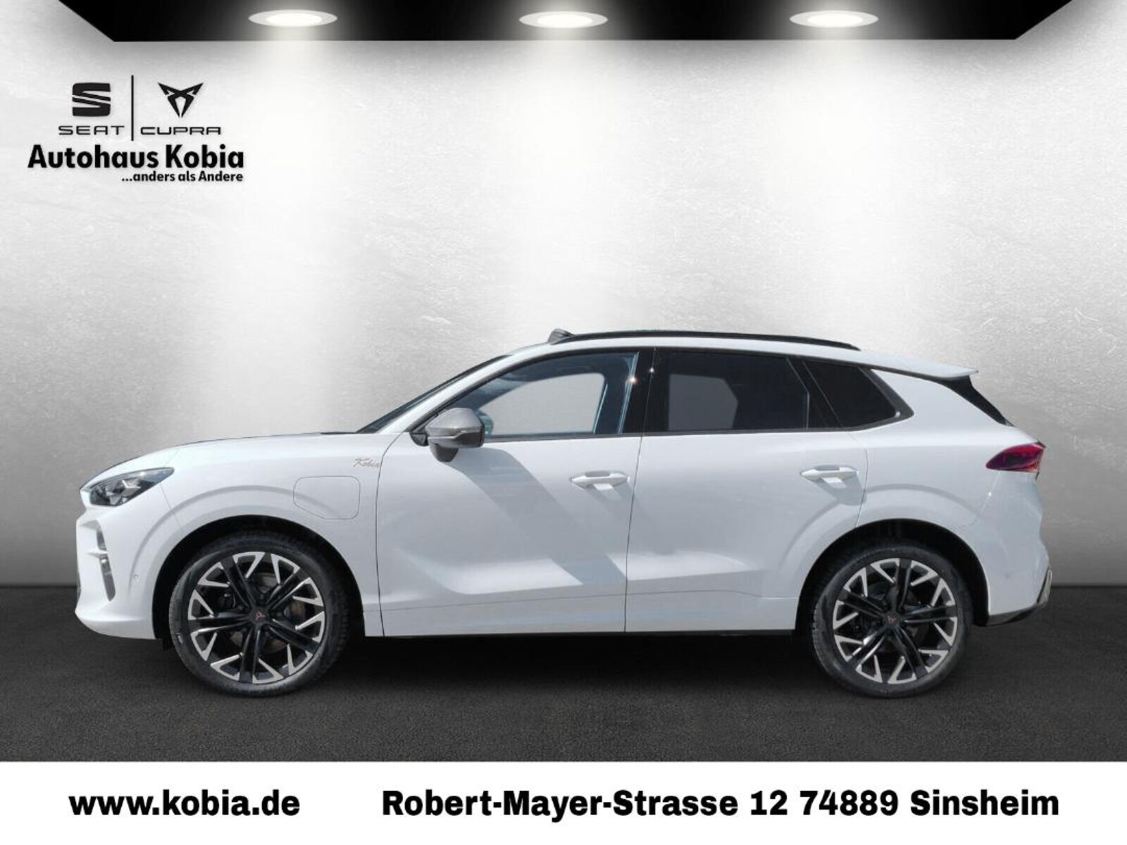 CUPRA Terramar – Bild 2