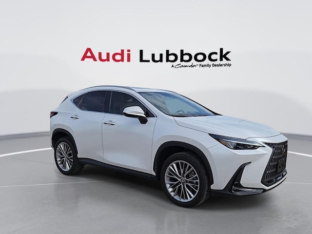 2025 Lexus NX 350