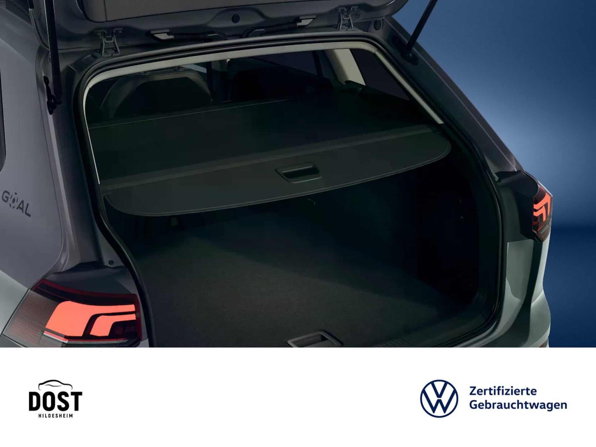 Volkswagen Golf Variant Goal
