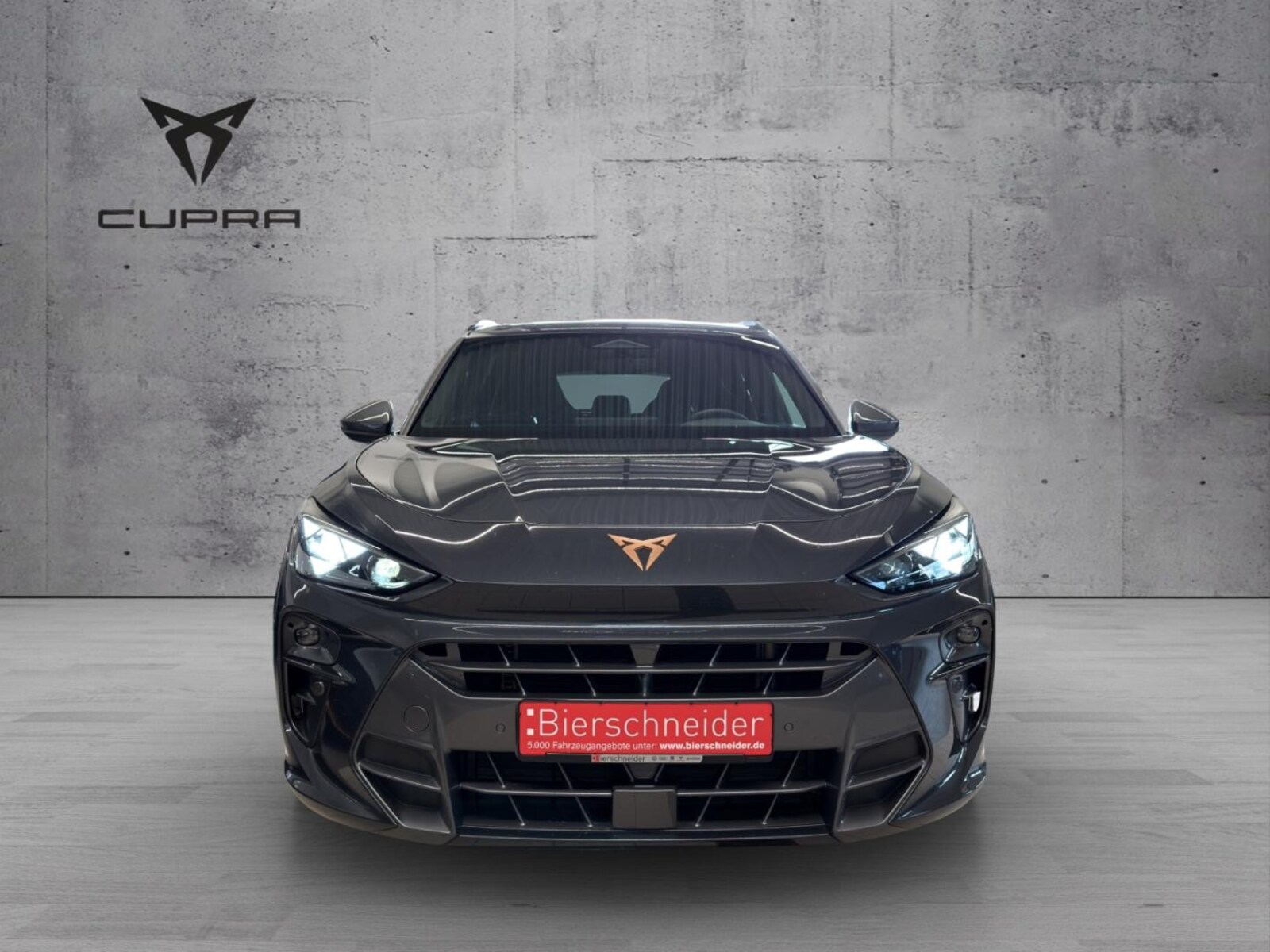 CUPRA Terramar – Bild 2