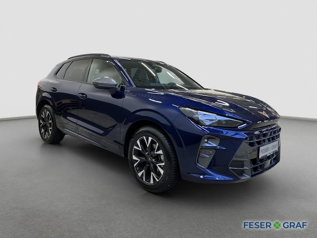Bild des Autos 2