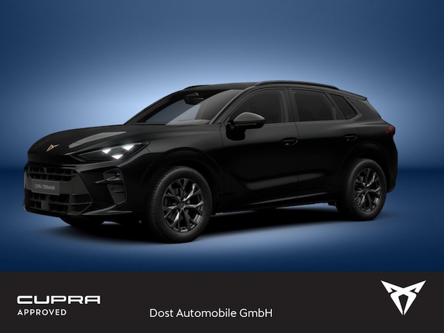 Bild des Autos 2