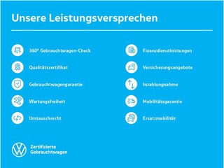zweites Vorschaubild