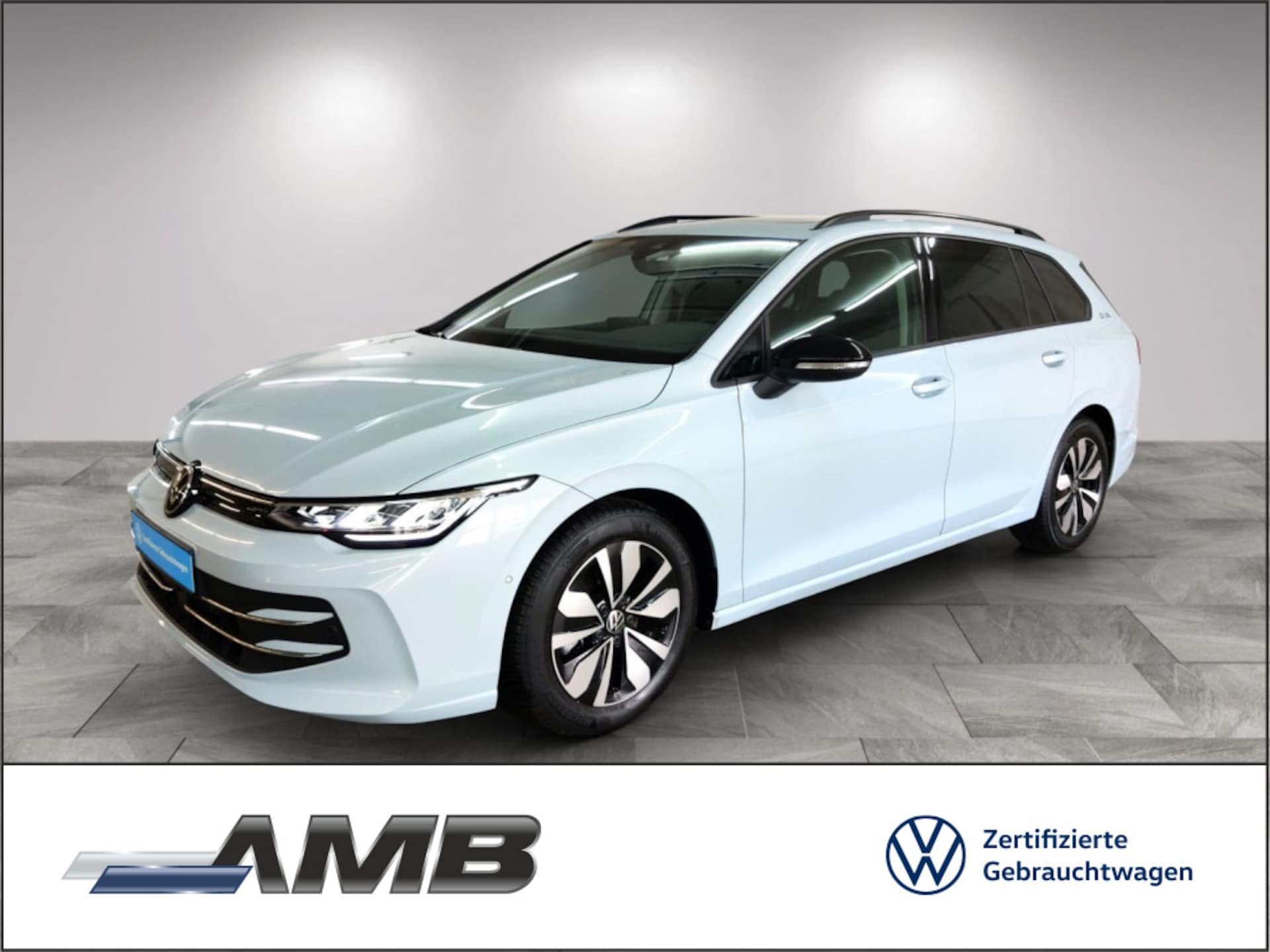 Volkswagen Golf Variant Goal