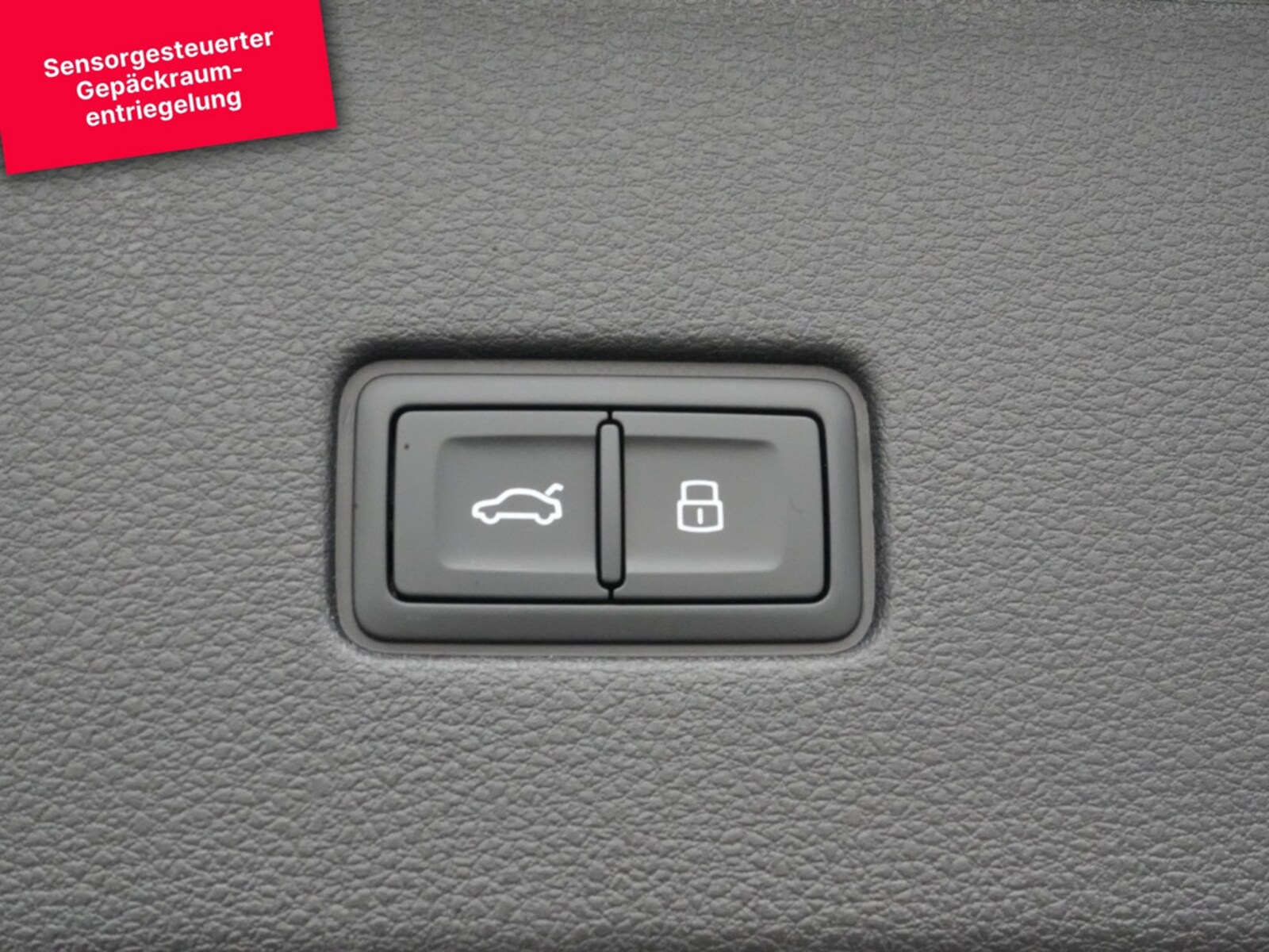 Audi Q8 – Bild 23