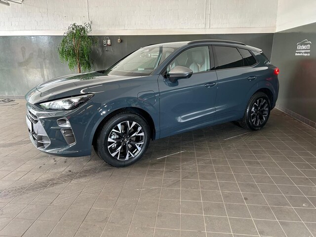 Bild des Autos 3