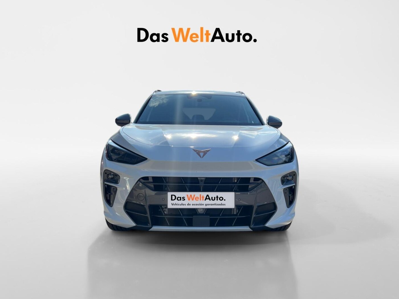 CUPRA Terramar 1.5 eTSI DSG 110 kW (150 CV) — photo 12