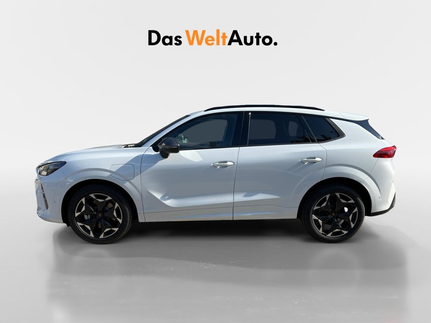 CUPRA Terramar 1.5 eTSI DSG 110 kW (150 CV) — photo 15