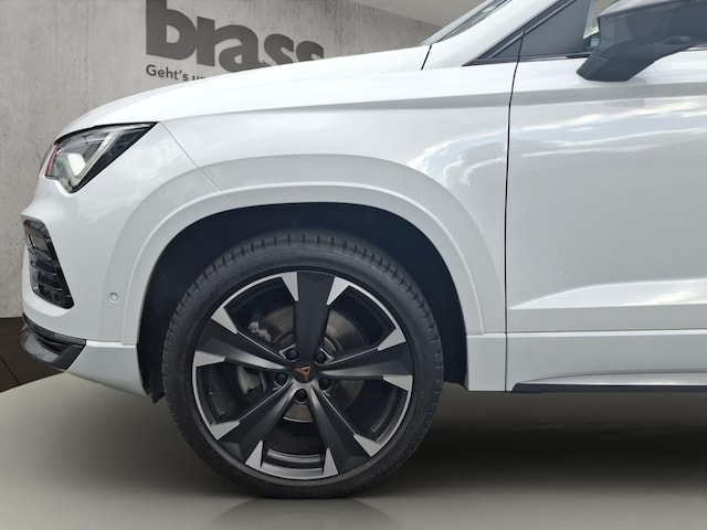 Bild des Autos 19