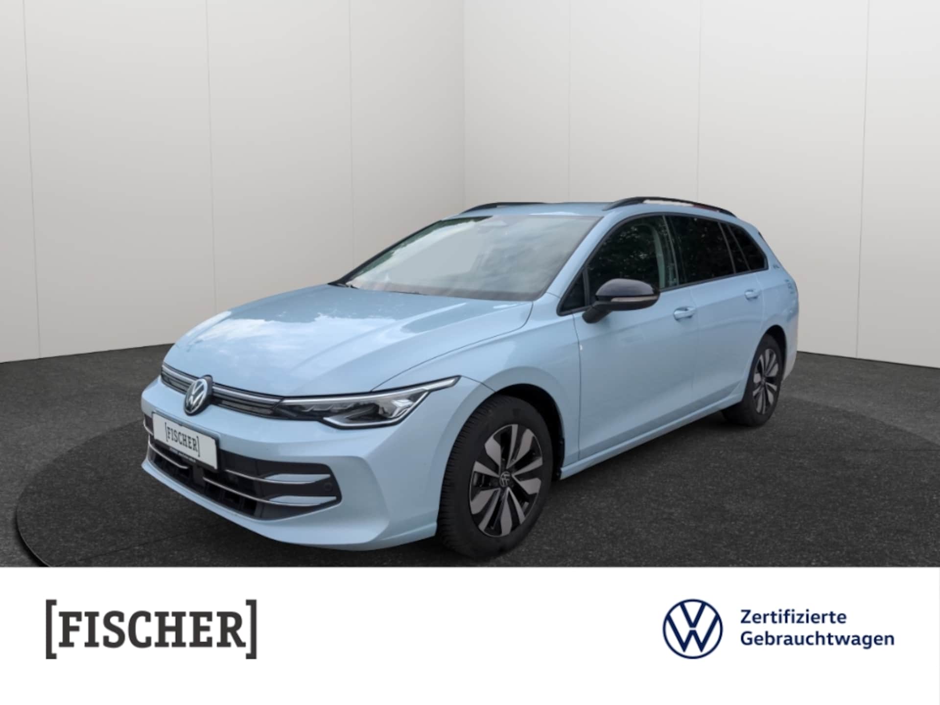 Volkswagen Golf Variant Goal