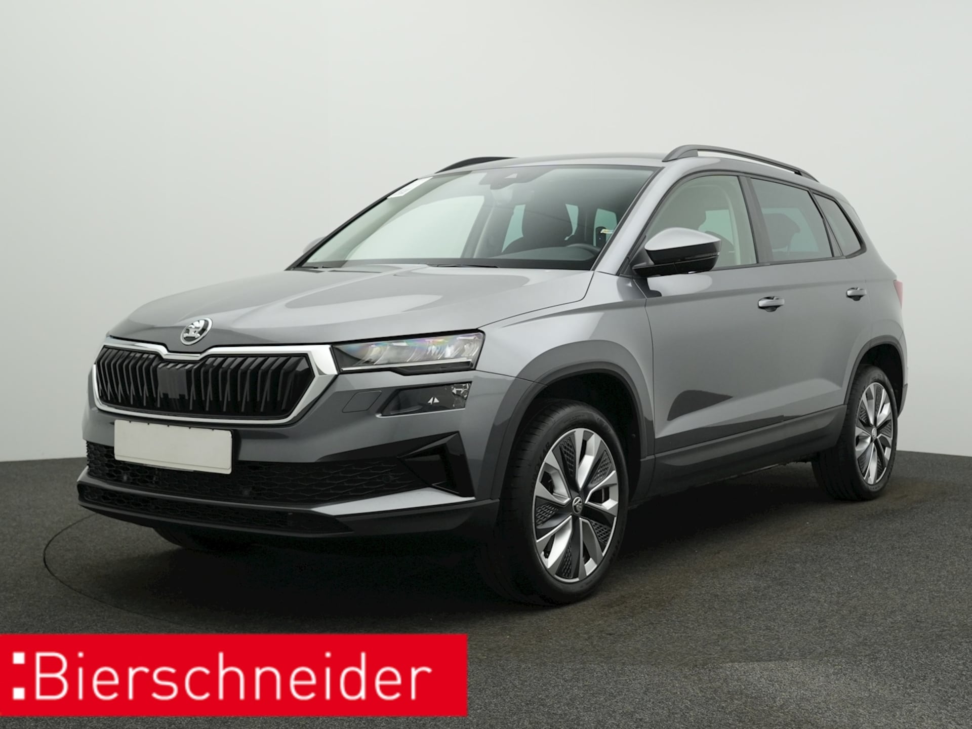 Skoda Karoq Selection