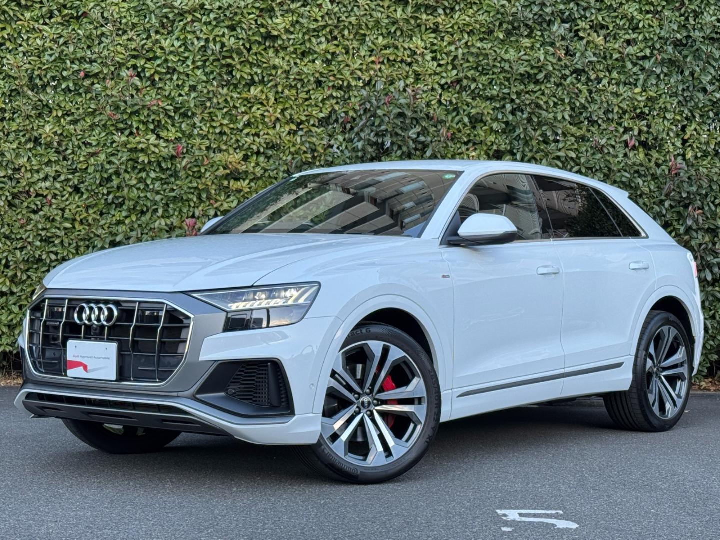 Image about Audi Q8 55 TFSI quattro S line 250(340) kW(PS) tiptronic