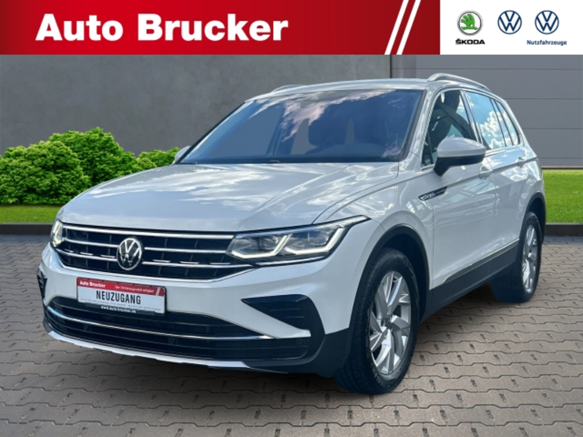 Volkswagen Tiguan Elegance