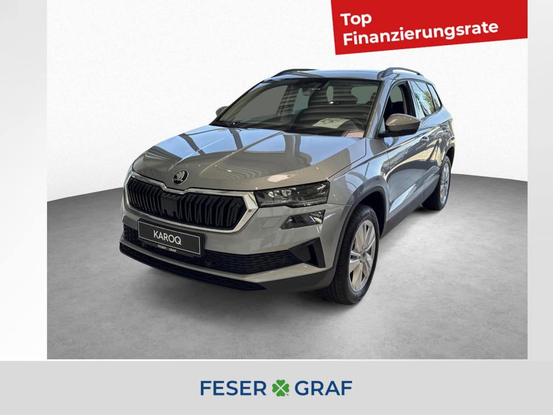 Skoda Karoq Selection