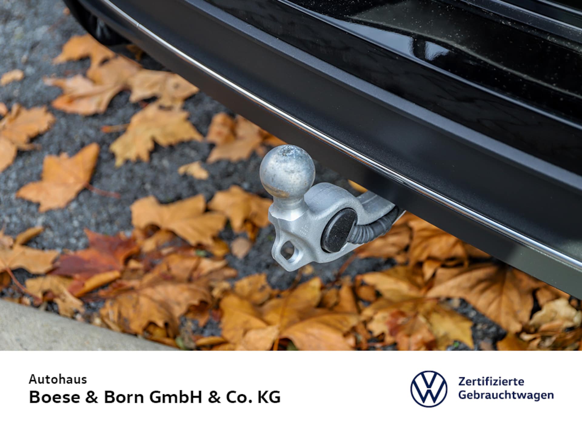 Volkswagen Passat Business