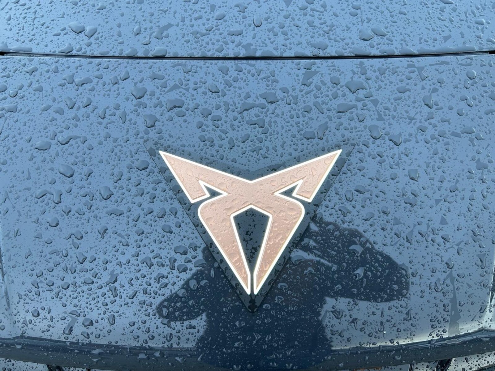 CUPRA Tavascan – Bild 3