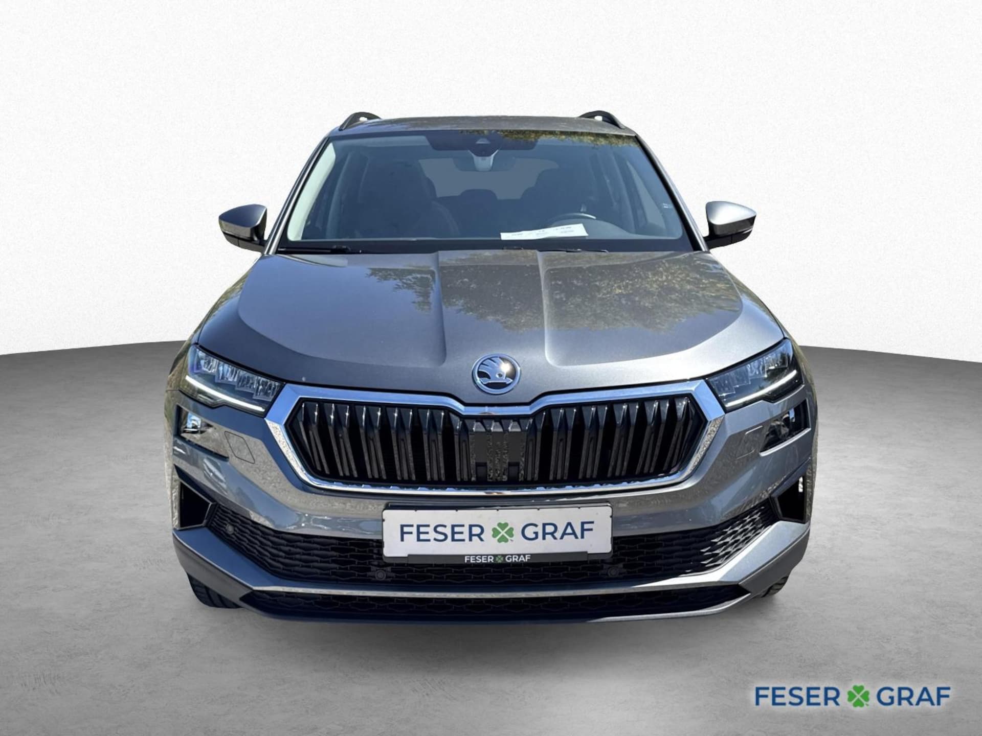Skoda Karoq Ambition