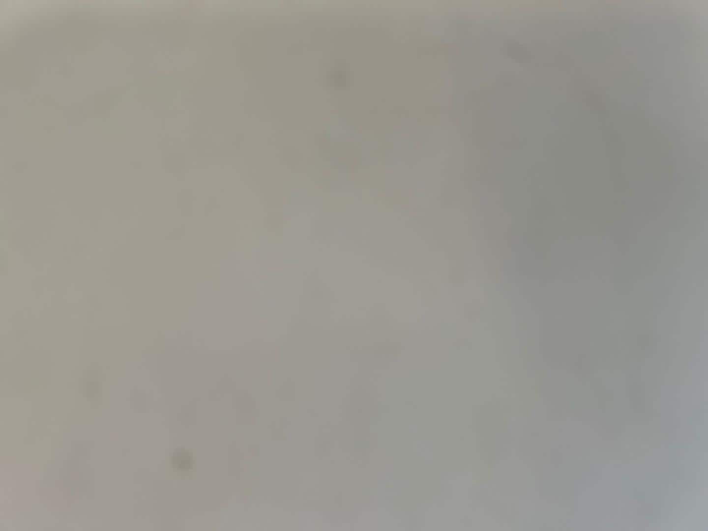 Image about Audi RS 6 Avant TFSI quattro tiptronic