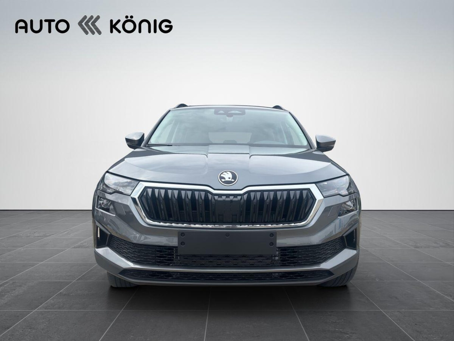 Skoda Karoq Selection