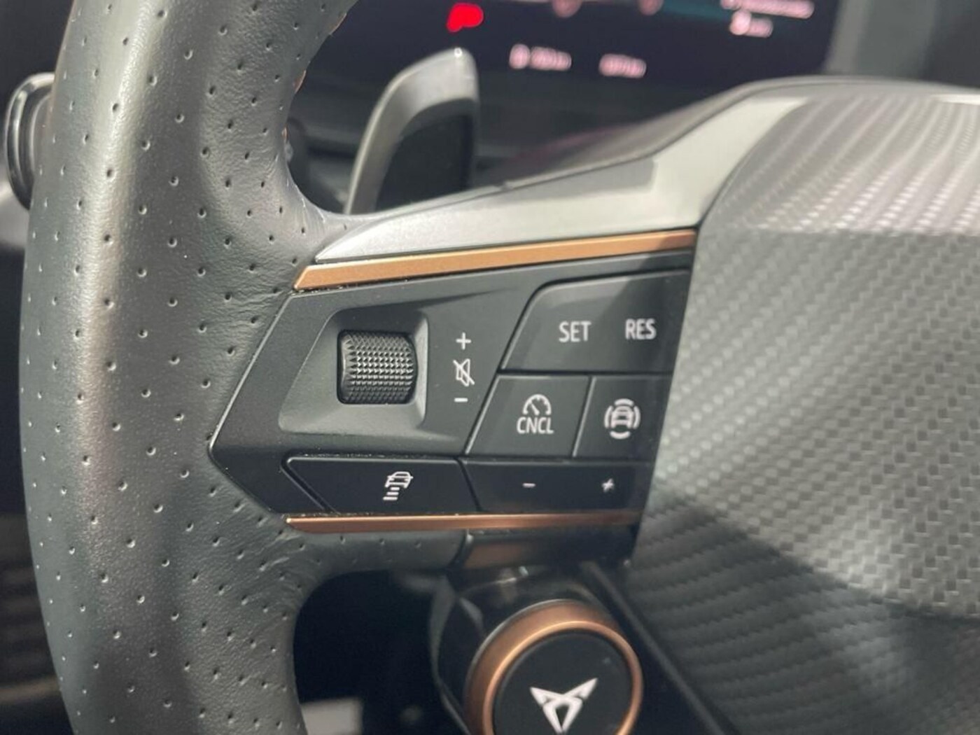 CUPRA Formentor 2.0 TDI DSG 110 kW (150 CV) — photo 10