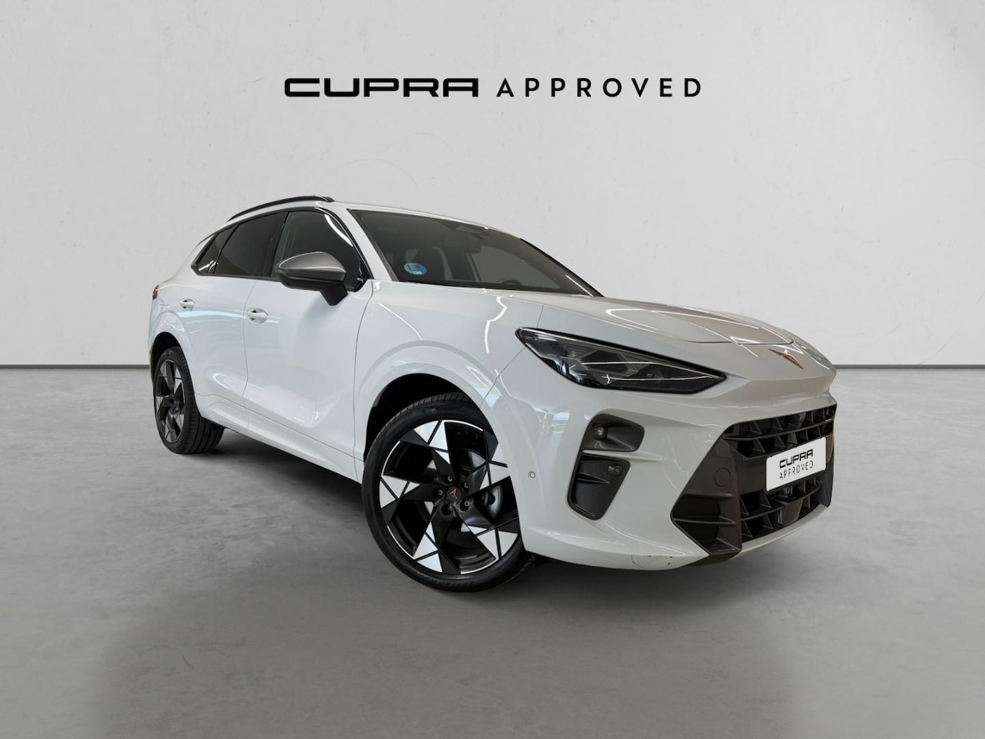 CUPRA Terramar 1.5 eTSI DSG 110 kW (150 CV) — photo 1