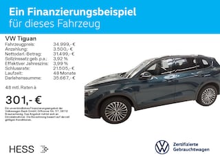 zweites Vorschaubild
