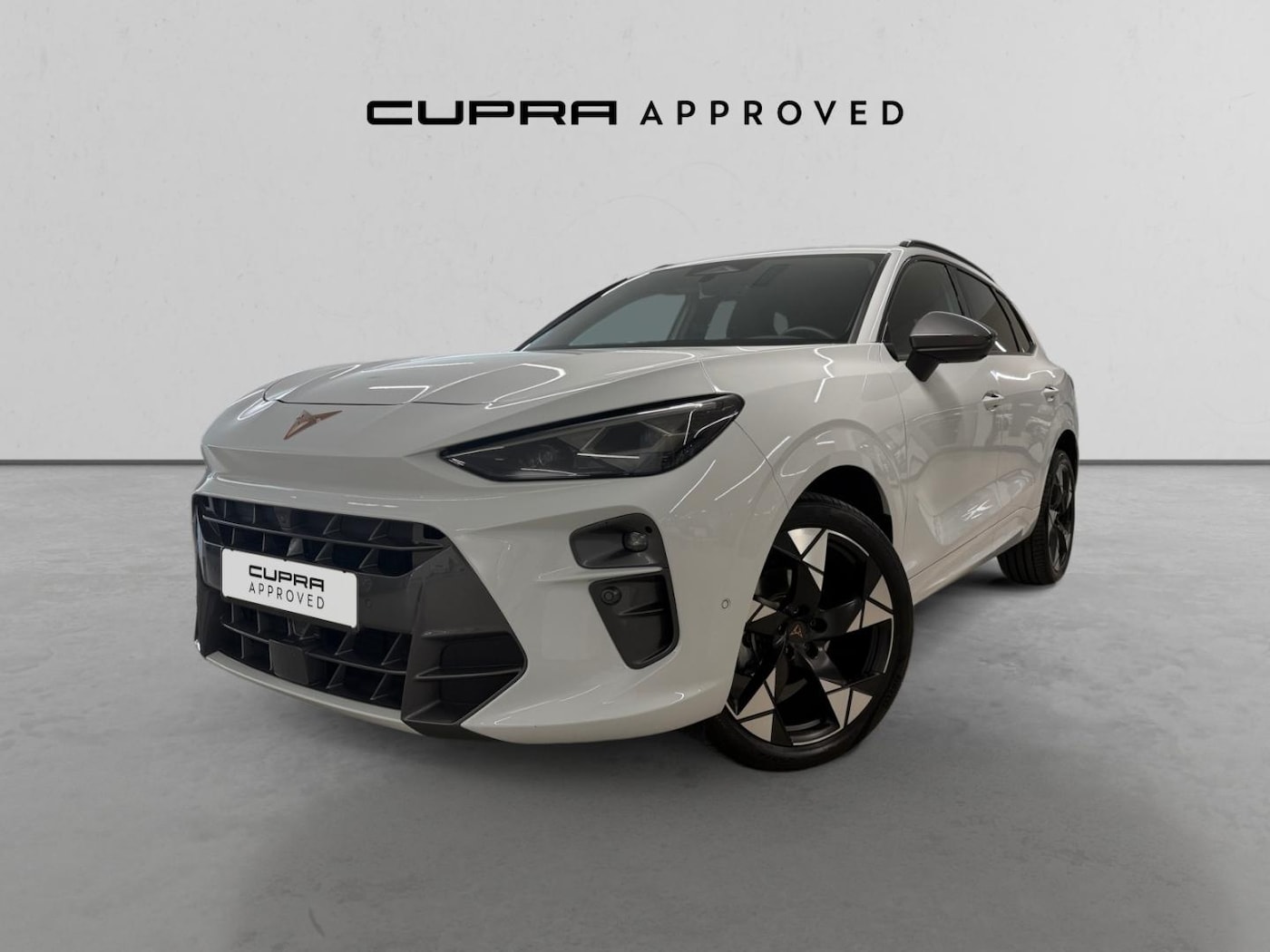 CUPRA Terramar 1.5 eTSI DSG 110 kW (150 CV) — photo 16