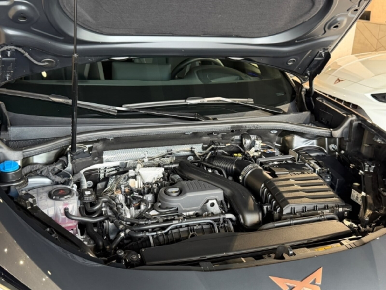 CUPRA Terramar – Bild 18