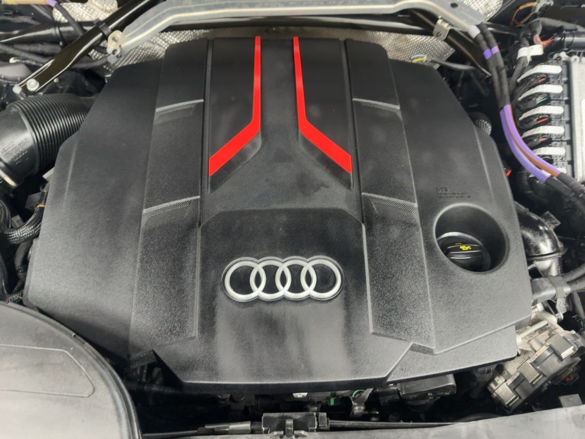 Audi SQ5 SUV
