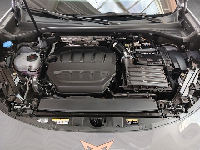 Bild des Autos 19