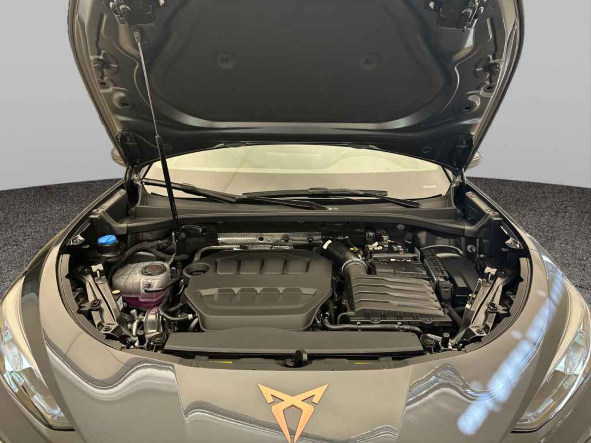 CUPRA Terramar VZ