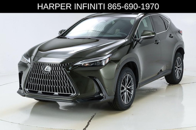 2024 Lexus NX 250