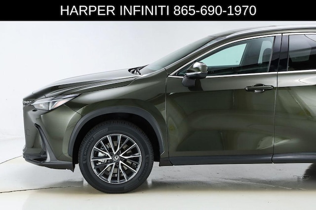 2024 Lexus NX 250
