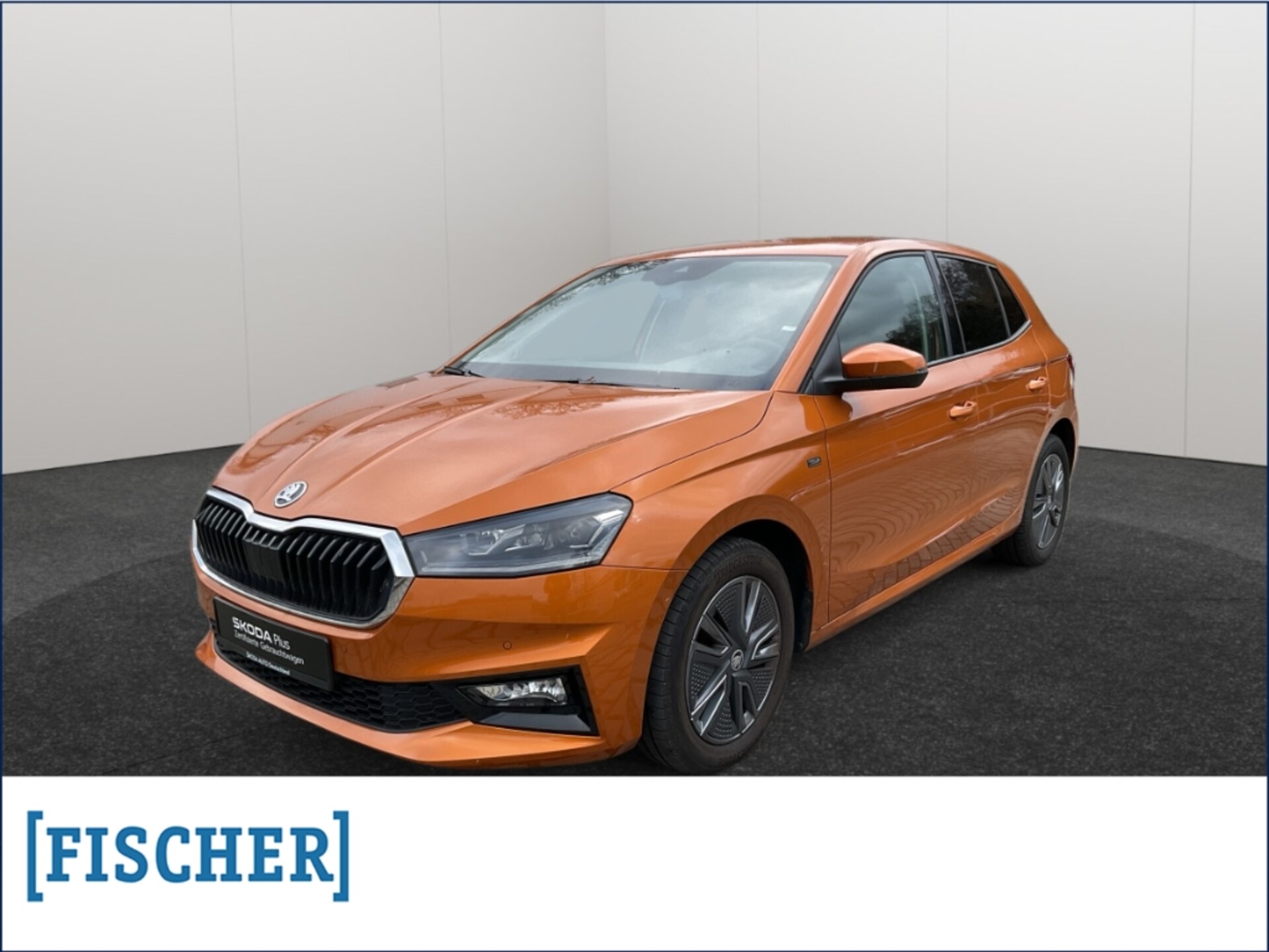 Skoda Fabia Tour
